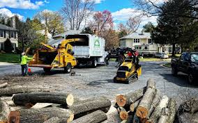 How Our Tree Care Process Works  in  Coulee Dam, WA